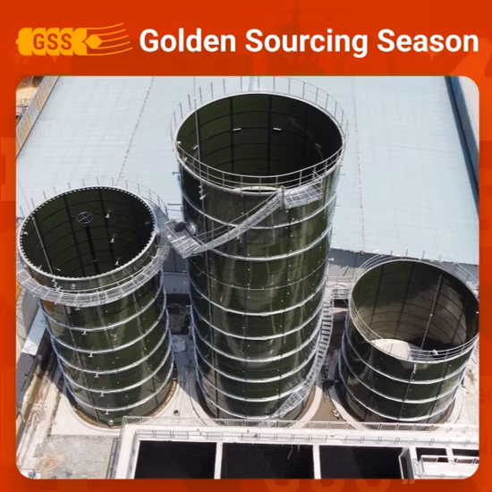 Promed Compact and Portable Ln2 Tank with Optional Lid Lock to Protect The Safety of Rna and DNA Speciments Storage